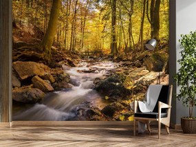 Gario Fotótapéta Erdei patak osszel Anyag: Vlies, Méret: 400 x 280 cm