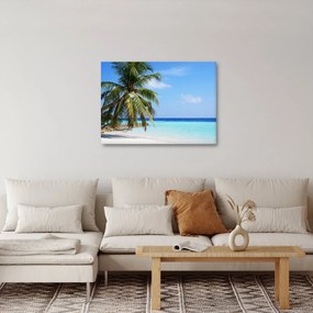 Pálmafák a strandon képe (70x50 cm)