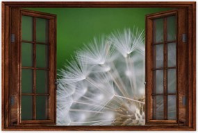 Poszterek 60x40 Pitypang Virág Virágok