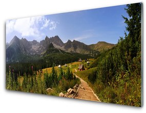 Akrilkép Hall-Meadow Mountain Road Nature 100x50 cm 2 fogas