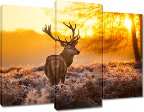 Vászonkép 90x70 Szarvas naplementekor