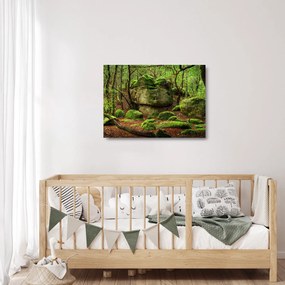 Egy varázslatos erdő képe (üvegen) (70x50 cm)