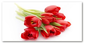 Akrilkép Piros tulipánok oah-99817079
