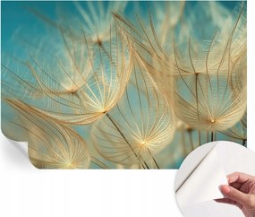 Dekoratív öntapadós fotótapéta az irodába Pitypangok éteri 152x104