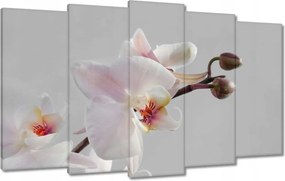 Vászonkép 100x60 Orchidea ceruza háttérrel