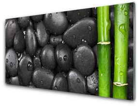 Üvegkép Stem Bamboo Spa 100x50 cm 2 fogas