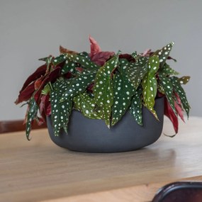 Květináč Eav, barva volcano černá, více velikostí - PotteryPots méret: S - h 12,5 cm, ⌀ 31 cm