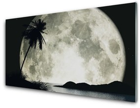 Fali üvegkép Éjszakai hold táj Palm 100x50 cm