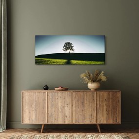 Természet kép - fa (120x50 cm)