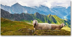 Konyhai panel BĂĄrĂĄnyok az Alpokban 140x70 cm RagasztĂł