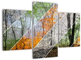 Kép - Változó évszakok (90x60 cm)
