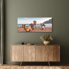 A tevék képe (120x50 cm)