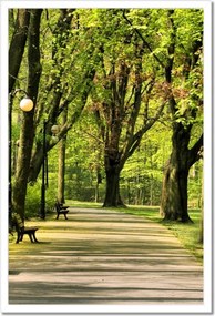 Poszterek keretben 40x60 Citadella park