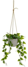 Műnövény (magasság 46 cm) – Casa Selección