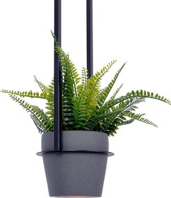 KAJA K-4038 ESTERA Fekete Színű Függeszték 1xE27 15W IP20