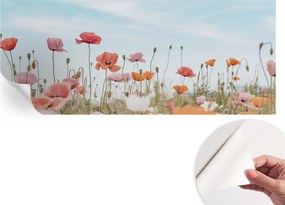 Öntapadós Dekoratív Fotótapéta Hálószobába Pipacsvirágok 250x104 cm