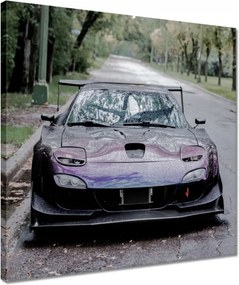 Vászonkép 40x40 Autó Fura Sport
