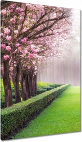 Vászonkép 80x120 Gyönyörű virágok a nappaliba