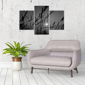 Kép - rét naplementével (90x60 cm)