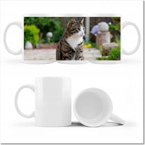 Nyomott mintás bögre Cica Cicák