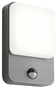 Redo 90133 - COLIN LED kültéri fali lámpa s érzékelővel 1xLED/9W/230V IP54