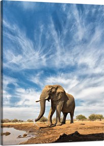Vászonkép Nagy elefánt a szavannán Homok 50x70 cm Ideális ajándék