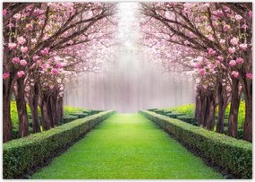 Poszterek A0 Szint Gyönyörű virágok a nappaliba