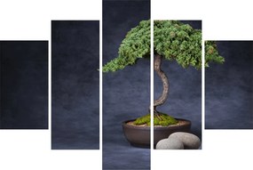 Kép - Bonsai (150x105 cm)