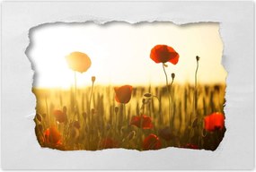 Poszterek 90x60 Pipacsok napfelkeltekor