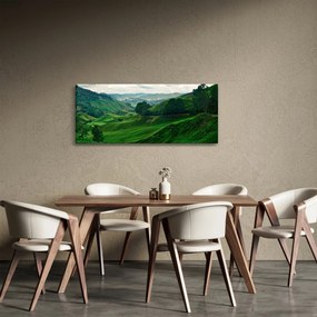 Kép - Teaültetvények Malajziában (120x50 cm)
