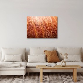 Kép - Textúra részlet (70x50 cm)