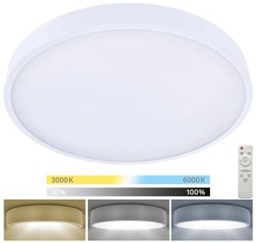 Brilagi Brilagi-LED Dimmelhető lámpa POOL SMART LED/60W/230V 3000-6000 50 cm+távirányító fehér BG0674