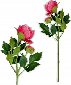 Bazsarózsa Hab Virágok Bazsarózsa Ágak Bazsarózsa Művirágok Váza