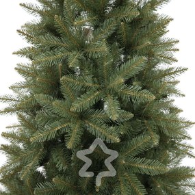 Kaukázusi lucfenyő 2D 150 cm
