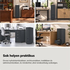 Kartotékszekrény görgőkkel, fém, 8 fiókos, dokumentumokhoz, antracit, 300x1100x600 mm: SARA V8