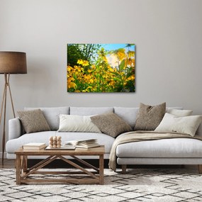 Sárga virágok képe (70x50 cm)