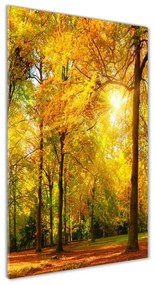 Akril üveg kép Erdő ősszel oav-89529230