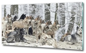 Üvegkép Farkasok télen osh-171243935