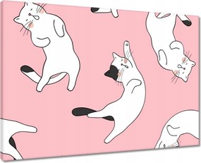 Vászonkép 70x50 Cica Cicák Macskák