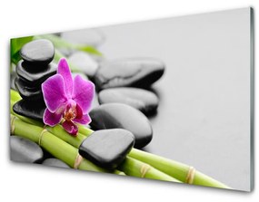 Akrilüveg fotó Virág bambusz Stones Art 100x50 cm