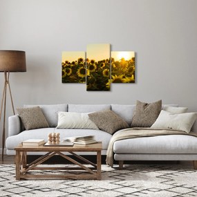 A napraforgó mező képe (90x60 cm)