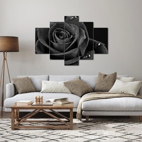 Kép - Bíborvörös rózsa (150x105 cm)