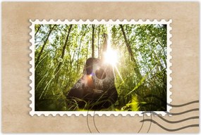 Poszterek 90x60 Gitár