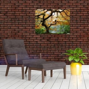 Egy sárga japán juhar képe, Portland, Oregon (üvegen) (70x50 cm)