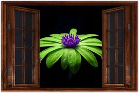 Poszterek 90x60 Lime szirmok