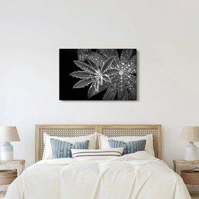 Kép - Cseppek (90x60 cm)