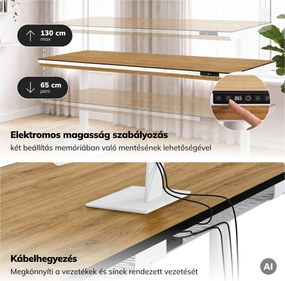 Elektromos ülő-álló íróasztal fiókkal és Qi vezeték nélküli töltővel fehér/aranytölgy, 1600 mm: ELLIS