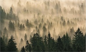 Flizelin Dekoratív fotótapéta Hálószobába Erdei köd 416x254 Ragasztó