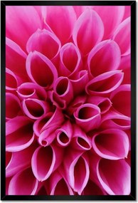 Poszterek keretben 40x60 Liliom