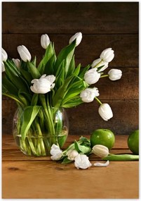 Poszterek 70x100 Fehér tulipánok